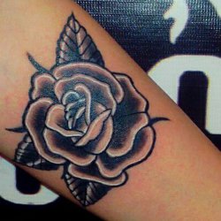 Tattoo Stark ✖Contrast Tattoo